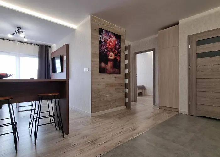 Q Pl 2 Lub 3 Pokojowe Klimatyzowane Przy Manufakturze Z Garazem Gratis, Fv Łódź